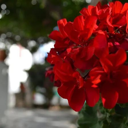 Aegean Village