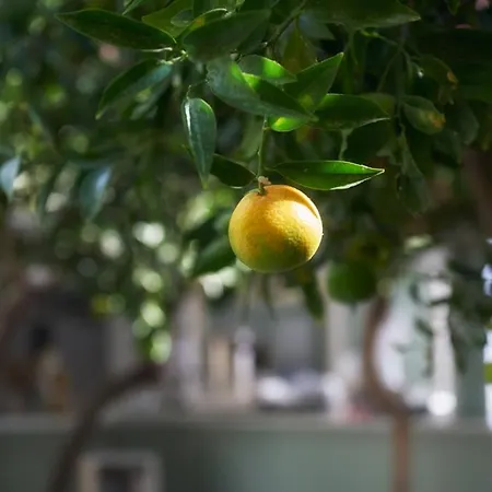 Aparthotel Aegean Village