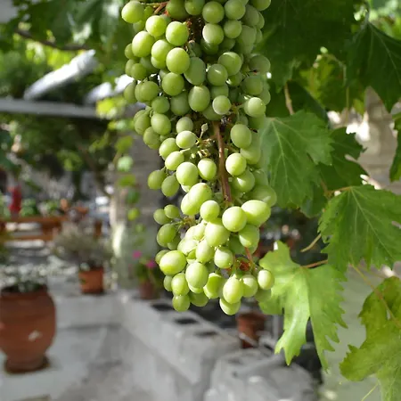 Aparthotel Aegean Village