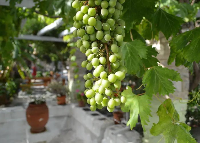 Apartahotel Aegean Village