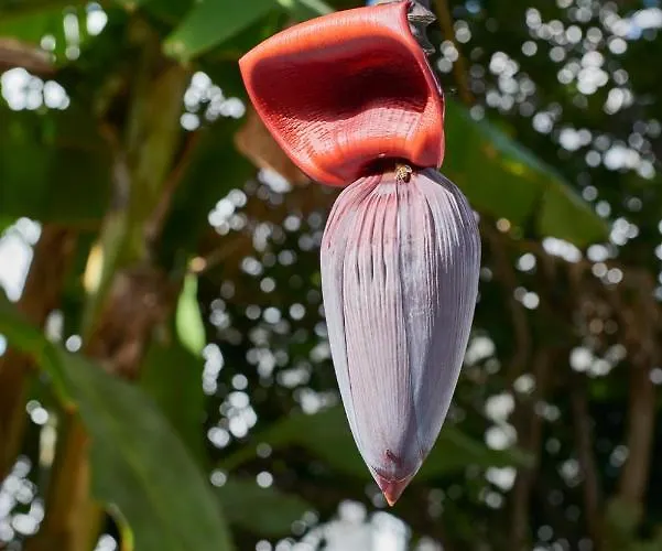 Aegean Village Páros