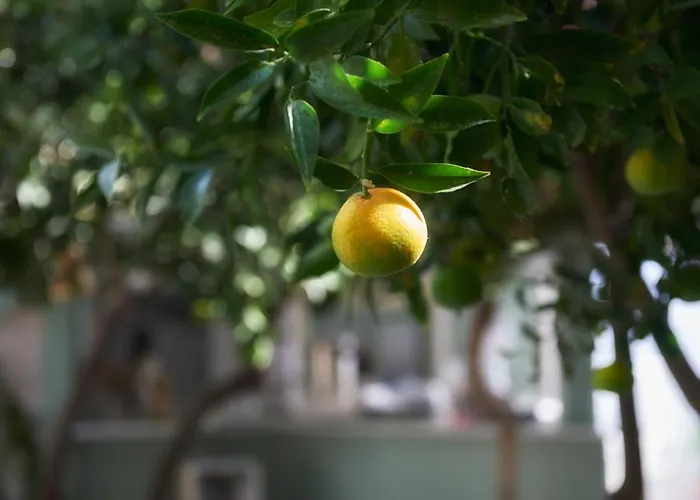 Aparthotel Aegean Village